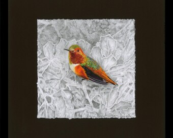 Hummingbird, Allen's Hummingbird Giclée Print, Framed