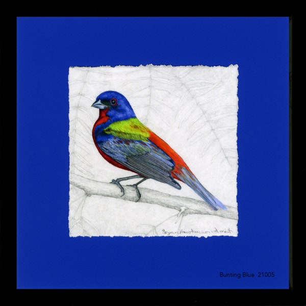 Painted Bunting Art Etsy