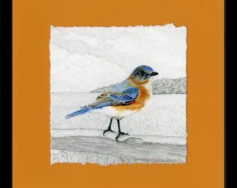 Bluebirds, Eastern Bluebird Giclée Print, Framed