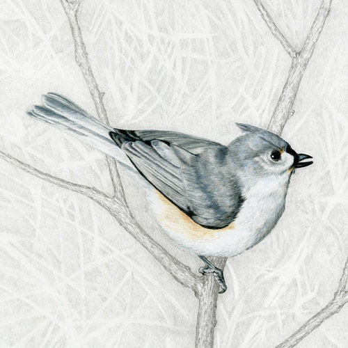 ツバメ、ツバメのジクレー版画、額入り - Etsy 日本