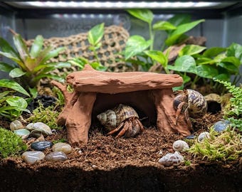 ヤドカリ用丸太シェルター｜流木テラリウムシェルター、爬虫類用登攀型エンリッチメント