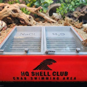 デュアルヤドカリウォーターボウル - 淡水＆塩水用食器プール | ヤドカリ水槽アクセサリー | 水槽装飾