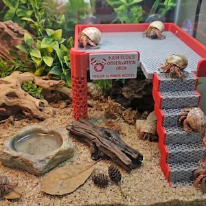 Peut inclure: Un habitat pour crabes ermites avec un pont d'observation et des escaliers rouges et gris. L'habitat comprend un abreuvoir, du bois flotté et le texte "HIGH CLOUD OBSERVATION DECK" et "HEX-UP CLIMBER ACCESS". Plusieurs crabes ermites sont visibles.