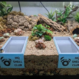 Puede incluir: Dos piscinas rectangulares de color azul claro para hábitat de cangrejo ermitaño, cada una con una rampa texturizada y el texto "HQ SHELL CLUB" en el frente. La piscina izquierda está etiquetada "NaCl" y la derecha "H2O" en el interior.