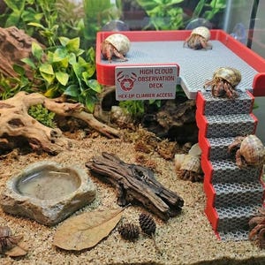 Hermit Crab Observation Deck – Elevated Climbing Platform with Adjustable Stairs | Enrichment Toy