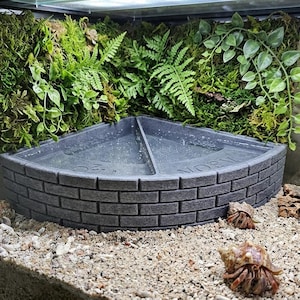 Corner Hermit Crab Water Dish – Dual Fresh/Salt Pools, Stone Look Crabitat Decor