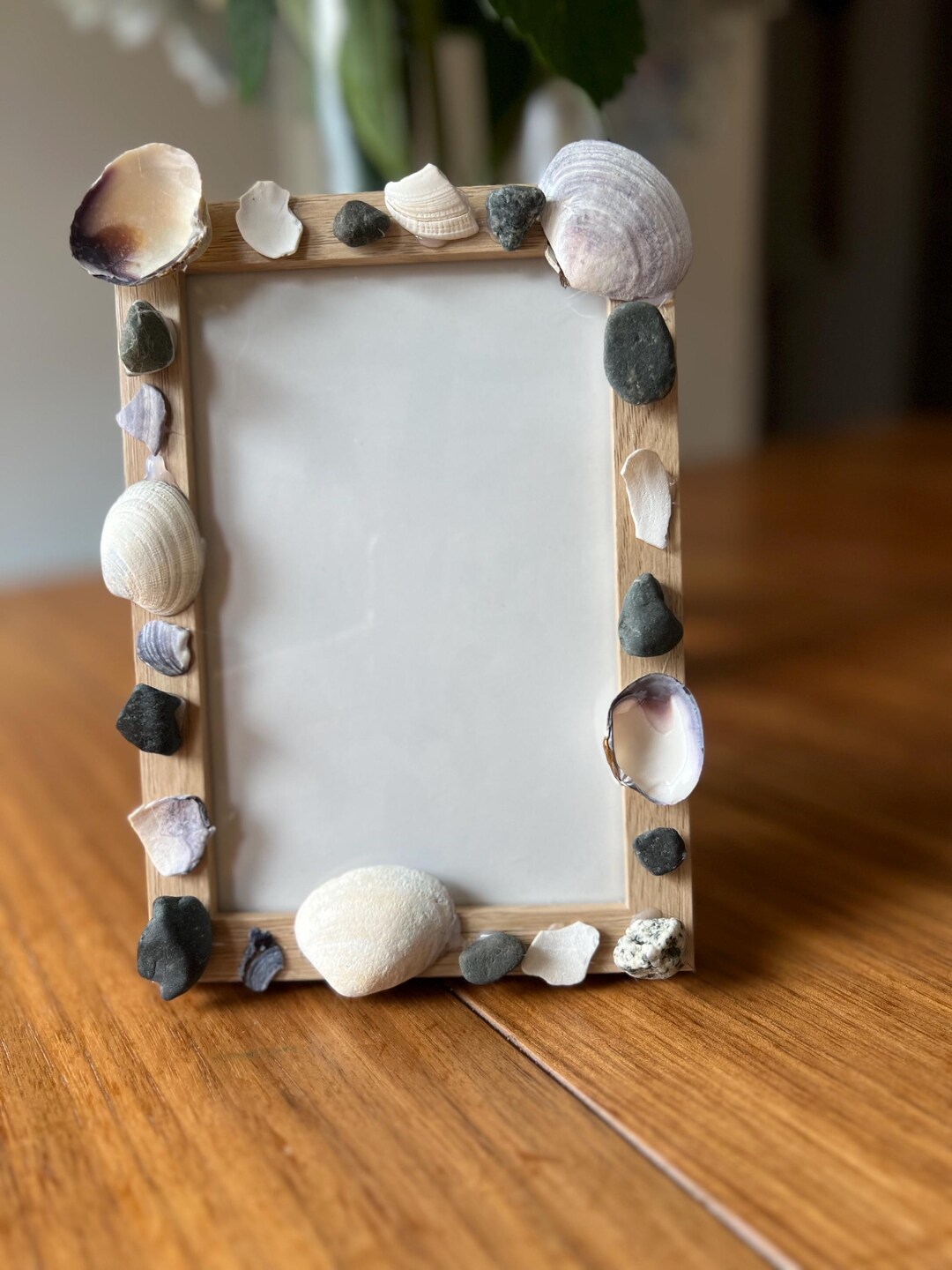 Custom Beachwood Frames With Shells From Vancouver Island, Canada - Etsy