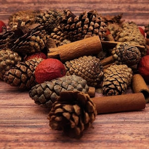 Loose Pinecones & Cinnamon Sticks – Natural Vase Filler for Holiday Decor