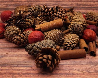 Loose Pinecones & Cinnamon Sticks – Natural Vase Filler for Holiday Decor