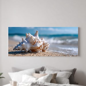 May include: A large, white and tan seashell rests on a sandy beach with the ocean in the background. The shell has a textured surface and is partially in the water. The sky is blue with a few clouds. The image is a horizontal rectangle.