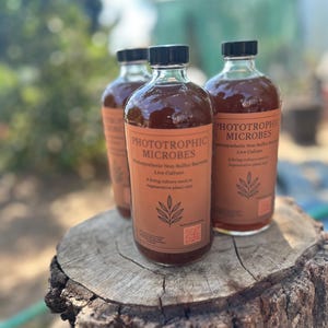 May include: Three glass bottles with black lids, containing a brown liquid, are arranged on a tree stump. Each bottle features a brown label with the text "PHOTOTROPHIC MICROBES" and additional product information.