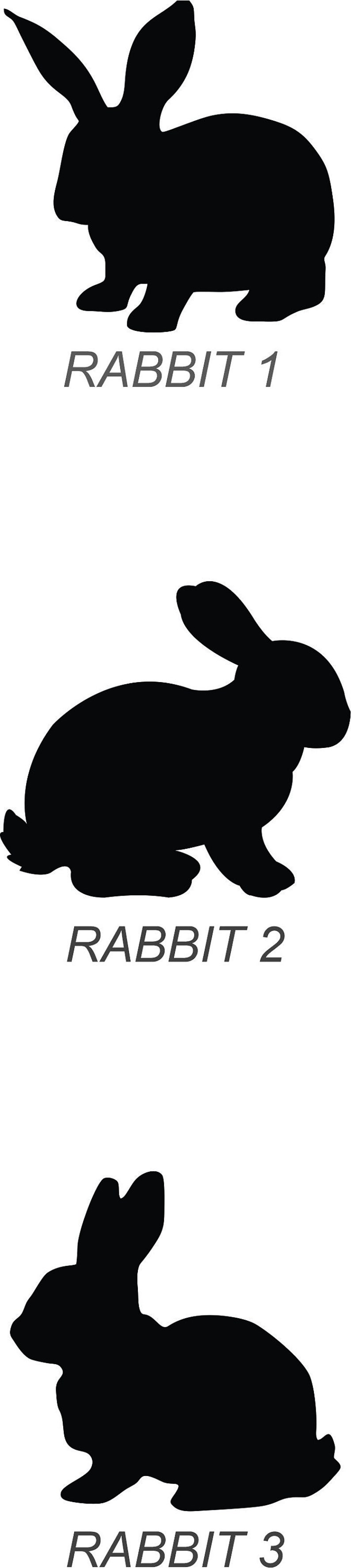 Personalized Rabbit Belt Buckle | Custom Belt Buckles | Engraved Belt ...