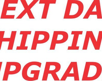 Next Day Rush Upgraded Shipping - Next Day Air from economy - Get it in time!