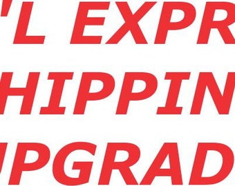 International Shipping Upgrade 20