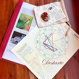 Qual é o meu animal totem? - Leitura do Totem Animal com Leitura do Mapa Astrológico Natal - com Pedra Totem Opcional e sua Escolha de Bolsa