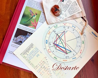 What is My Totem Animal?-Animal Totem Reading with Natal Astrology Chart Reading-with Optional Totem Stone and Your Choice of Bag