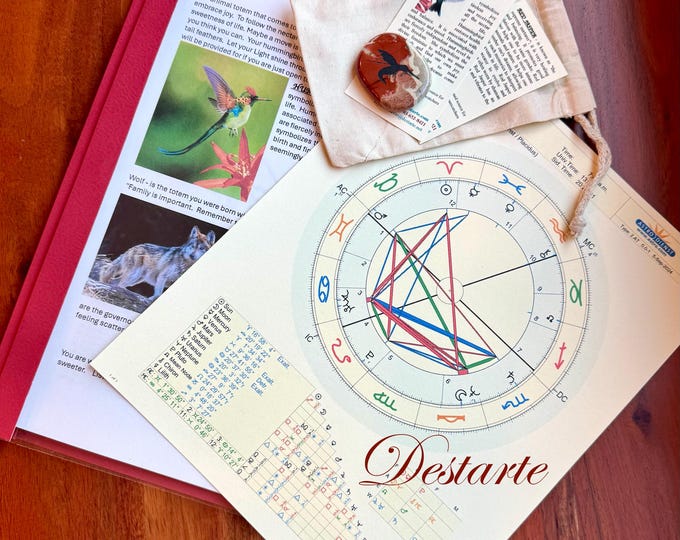 What is My Totem Animal?-Animal Totem Reading with Natal Astrology Chart Reading-with Optional Totem Stone and Your Choice of Bag