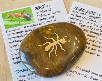 Ants Pocket - Etsy Ants Pocket - Etsy