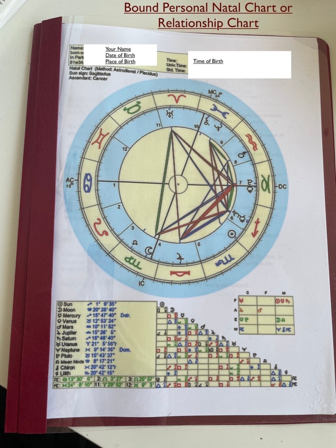 Natal Astrology Chart Reading With Animal Totem Reading-what - Etsy