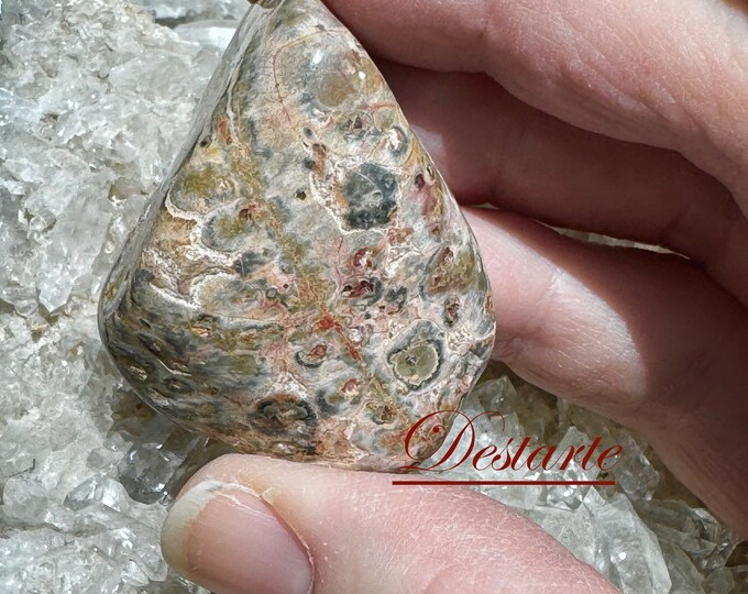 Leopard Jasper Tumbled Stones, Patron Stone of Counselors, Orbicular Jasper Stones