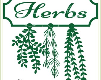 Download Herbs Pots SVG File Herbs svg SVG file vinyl cutting | Etsy