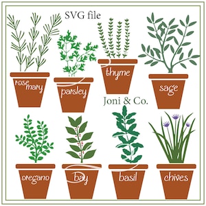 May include: SVG file illustration of ten potted herbs, including rosemary, thyme, sage, parsley, oregano, bay, basil, chives, and two types of rosemary. The pots are all brown and the herbs are all green.