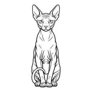Puede incluir: Dibujo lineal en blanco y negro de un gato Sphynx en posición sentada. El gato tiene orejas grandes, una cara arrugada y una cola enroscada. La imagen es una ilustración gráfica simple.