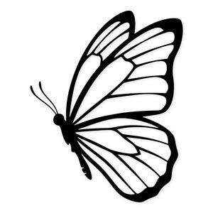 Op de afbeelding: Een zwart-wit illustratie van een vlindervleugel. De vleugel is gedetailleerd met zwarte lijnen en witte ruimtes, die de aderen en vorm benadrukken. Het lichaam en de antennes van de vlinder zijn ook zichtbaar.