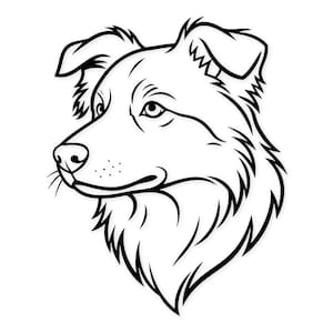 Puede incluir: Dibujo lineal en blanco y negro de la cabeza de un perro Border Collie, de perfil. La ilustración muestra líneas detalladas que representan el pelaje, los ojos y la nariz del perro. Imagen gráfica y limpia.