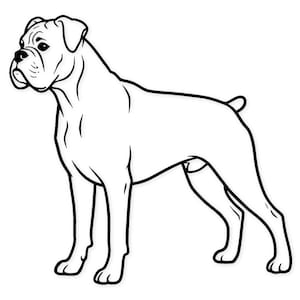 May include: A black and white line drawing of a Boxer dog in a standing pose, facing left. The dog has a muscular build, with a short tail and floppy ears. The illustration is simple and clean, with bold outlines.