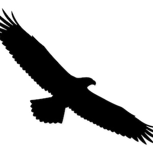May include: A black silhouette of a soaring eagle against a white background. The eagle is depicted with outstretched wings, showcasing its feathers and powerful form. The image captures the bird in mid-flight, emphasising its majestic presence.