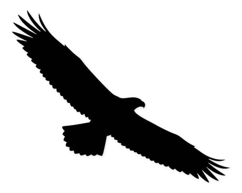 Majestic Eagle Soaring Svg Png: Cut Ready Digital Design for Cricut ...