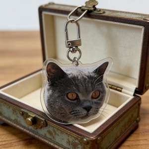 May include: A clear acrylic keychain featuring a close-up of a gray cat's face with orange eyes. The keychain is attached to a silver metal clasp. The keychain is displayed in an open, vintage-style jewelry box.