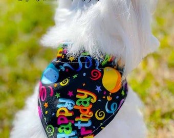 Birthday colorful print over the collar dog bandana