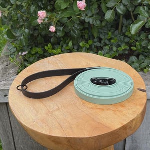 Può includere: Un guinzaglio lungo e piatto per cani con una sezione arrotolata color verde salvia e un'impugnatura marrone scuro. Il guinzaglio include un moschettone girevole in metallo nero al centro della bobina e un anello in metallo nero sul manico.