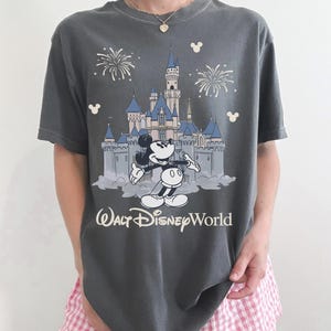 May include: Dark gray t-shirt featuring a graphic of Cinderella's castle, Mickey Mouse, and fireworks. The text "Walt Disney World" is printed below the graphic. The shirt is a relaxed fit.