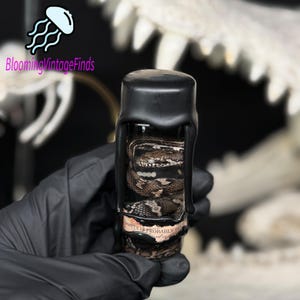 May include: A black, cylindrical container holding a snake, sealed with black wax. The label reads "SAFETY IS PROBABLY". A white skull is in the background. The image has a vintage aesthetic.