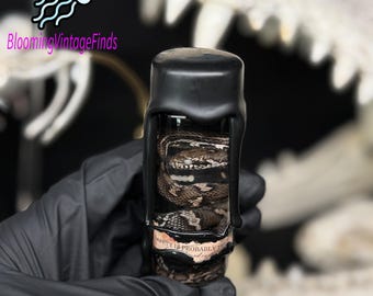 Real Preserved Brown-Black Rat Snake Specimen – Rare Reptile Curiosity, Natural History Display