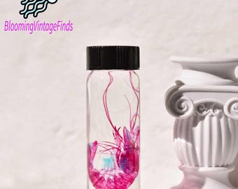 Seltene Diaphonisierte weiße Garnele - Lila & Blaue nasse Probe, erhaltenes Kuriositätenschrank, pädagogisch wertvolles Biologie- Display