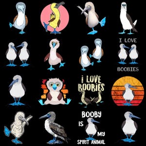 May include: A collection of cartoon illustrations of blue-footed boobies in various poses and settings. Some images include text such as "I LOVE BOOBIES" and "BOOBY IS MY SPIRIT ANIMAL" on a black background.