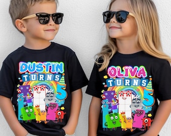 Personalized Block Number Birthday Boy, Birthday Girl, Raglan Shirt, Family Shirt, Party Family Matching Tee, Custom Name Age Party Tee