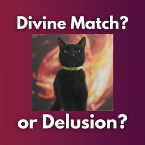 May include: A black cat with yellow eyes and a green collar is centered in a square image. The text "Divine Match?" is at the top, and "or Delusion?" is at the bottom, all in white.