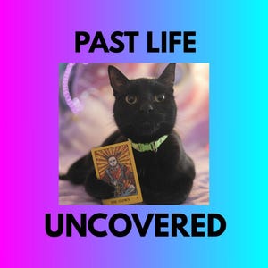 Peut inclure: Un chat noir avec un collier vert tient une carte de tarot avec une illustration d'une personne. L'image contient le texte "PAST LIFE UNCOVERED" en grandes lettres grasses sur un fond dégradé rose et bleu.