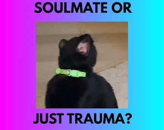 Soulmate Psychic Reading, Is This Real Or Karmic, Deep Soul Connection Or Emotional Trap, Honest Tarot And Energy Reading Same Day