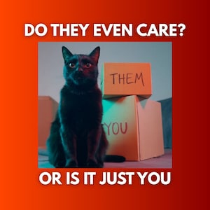 May include: A black cat sits before two cardboard boxes. The top box is labelled "THEM" and the bottom box reads "YOU". The text "DO THEY EVEN CARE?" and "OR IS IT JUST YOU" are at the top and bottom of the image.