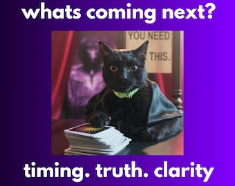 May include: A black cat wearing a cape and a green collar sits behind a stack of tarot cards. The image has text that reads "whats coming next?" and "timing. truth. clarity."