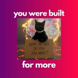 Puede incluir: Un gato negro con un collar verde sostiene un cartel que dice "WHAT THE FUCK DO YOU WANT?". La imagen tiene el texto "you were built for more" en letras blancas sobre un fondo degradado.