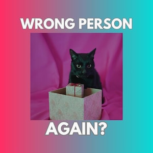 May include: A black cat sits behind an open square gift box containing a smaller wrapped present. The text WRONG PERSON AGAIN? is displayed in white capital letters against a pink and teal gradient background surrounding the central image.