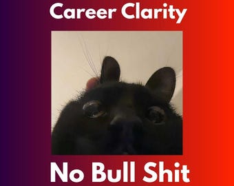 Puede incluir: Primer plano de la cara de un gato negro, con ojos grandes y expresivos. El gato mira directamente al espectador. El texto "Career Clarity" está en la parte superior y "No Bull Shit" en la inferior, ambos en blanco.