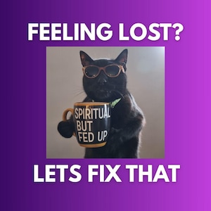 May include: A black cat wearing sunglasses holds a mug that reads "SPIRITUAL BUT FED UP." The image has text that says "FEELING LOST?" and "LETS FIX THAT" on a purple gradient background.